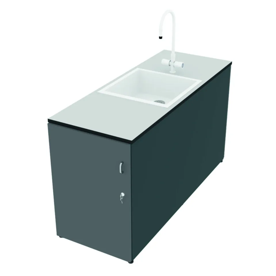 Laboratory Sink FTTR11 - Image 2